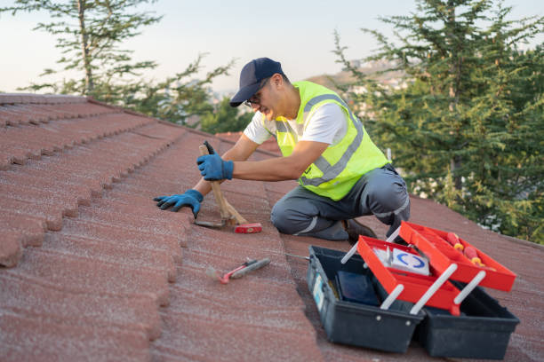 Best Residential Roofing Contractor  in Fruitland, NC