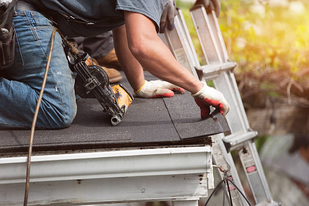 Best Gutter Installation and Roofing  in Fruitland, NC